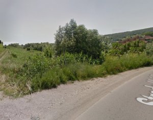 , 5300m2 on Chinteni