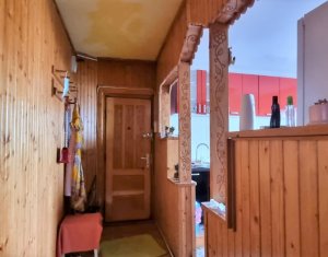 Appartement 2 chambres à louer dans Cluj-napoca, zone Manastur