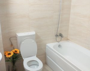 Appartement 1 chambres à louer dans Cluj-napoca, zone Gruia