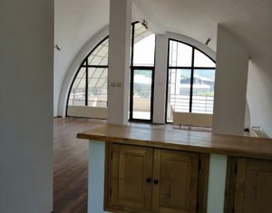 , 320m2 dans Cluj-napoca, zone Grigorescu