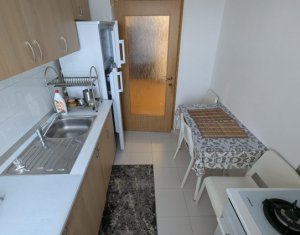Appartement 3 chambres à louer dans Cluj-napoca, zone Iris