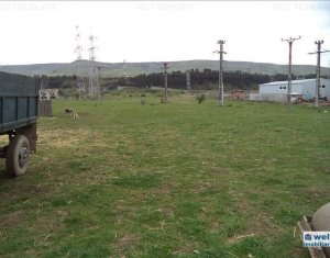 Terrain à vendre dans Cluj-napoca