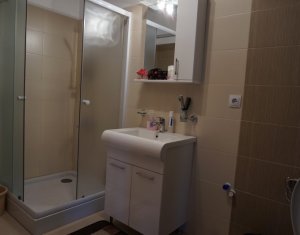Appartement 2 chambres à louer dans Cluj-napoca