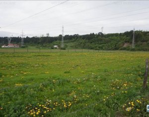 , 475m2 on Cluj-napoca