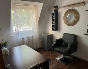 Maison 9 chambres à vendre dans Cluj-napoca, zone Gheorgheni
