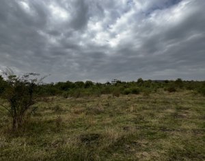 Terrain à vendre dans Cluj-napoca, zone Dambul Rotund