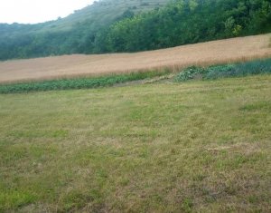 Terrain à vendre dans Corpadea