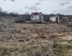 , 976m2 in Cluj-napoca, zona Dambul Rotund