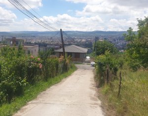 Teren de vanzare, 976 mp, Dambul Rotund