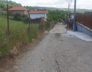 Teren de vanzare, 976 mp, Dambul Rotund