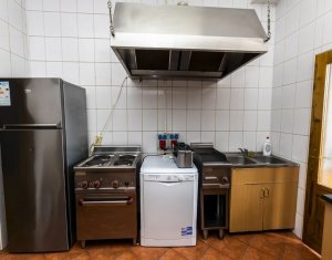 Ház 10 szobák eladó on Baisoara