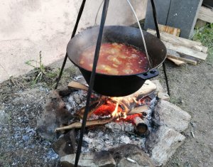 Ház 10 szobák eladó on Baisoara
