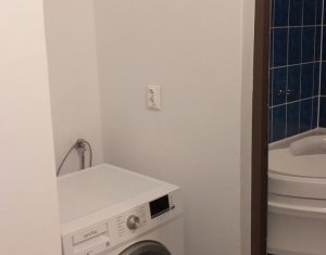 Ház 1 szobák kiadó on Cluj-napoca