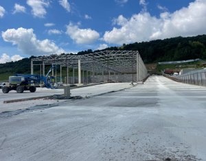 Ipari helyiség kiadó, 2720m2 on Baciu