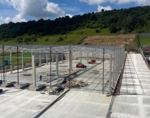 Ipari helyiség kiadó on Baciu