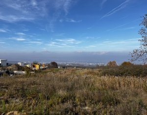 Terrain à vendre dans Feleacu