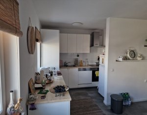Maison 4 chambres à louer dans Floresti