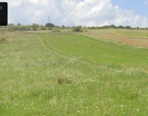 , 1834m2 dans Salicea
