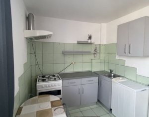 Appartement 1 chambres à vendre dans Cluj-napoca, zone Manastur