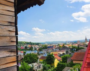 Maison 5 chambres à vendre dans Turda