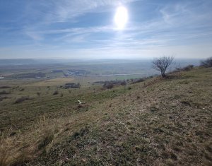 Terrain à vendre dans Cluj-napoca, zone Iris