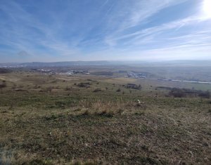 Terrain à vendre dans Cluj-napoca, zone Iris