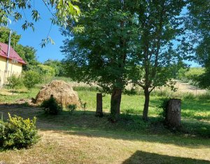 Terrain à vendre dans Martinesti