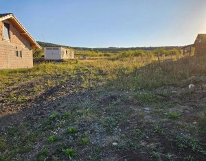 Telek eladó on Chinteni