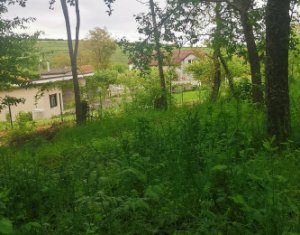 Telek eladó on Saliste