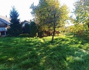 Maison 4 chambres à vendre dans Cluj-napoca, zone Dambul Rotund