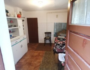 Maison 3 chambres à vendre dans Cluj-napoca, zone Someseni