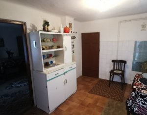 Maison 3 chambres à vendre dans Cluj-napoca, zone Someseni