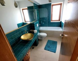 Maison 4 chambres à louer dans Cluj-napoca, zone Iris