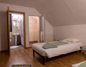 Oportunitate in Zorilor: casa spatioasa, curte mare si potential de investitie!