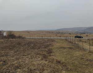 Teren intravilan în Chinteni – investiție (Necesita PUZ)