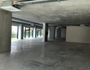Üzlethelyiség kiadó, 315m2 on Cluj-napoca, Zóna Marasti