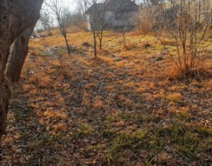 , 60m2 on Comsesti