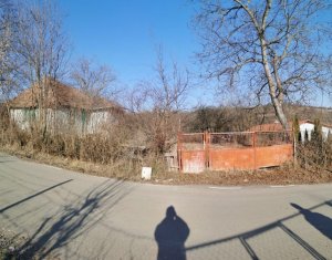 Maison 2 chambres à vendre dans Comsesti