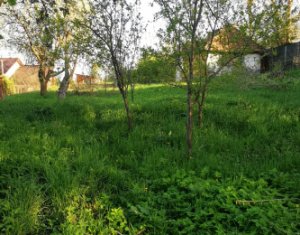 Telek eladó on Comsesti