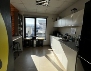 Bureau à louer dans Cluj-napoca, zone Buna Ziua