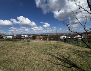 , 655m2 on Cluj-napoca, Zóna Europa