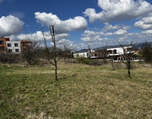 , 850m2 on Cluj-napoca, Zóna Europa