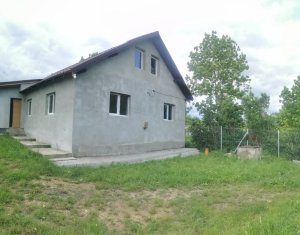 , 230m2 on Livada (petrestii De Jos)