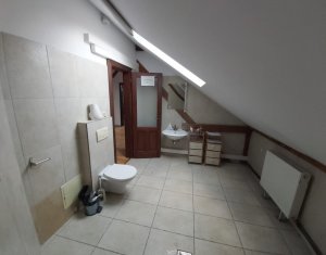 Ház 20 szobák kiadó on Cluj-napoca, Zóna Andrei Muresanu