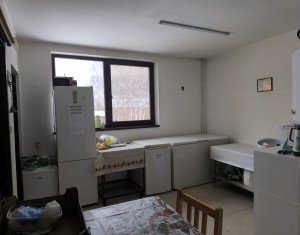 Üzlethelyiség eladó on Caseiu