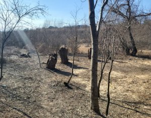 Teren intravilan in suprafata de 1000 mp, Ciurila