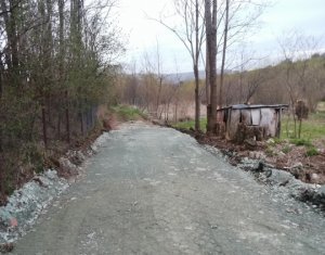 Teren intravilan in suprafata de 1000 mp, Ciurila