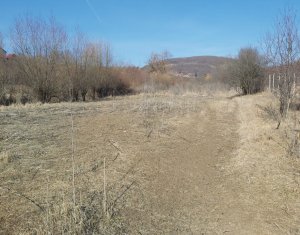 Teren intravilan in suprafata de 1000 mp, Ciurila