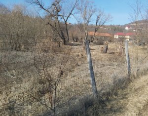 , 1000m2 in Ciurila