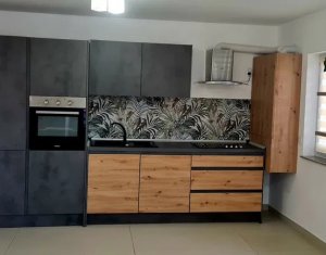 Ház 4 szobák kiadó on Cluj-napoca, Zóna Borhanci
